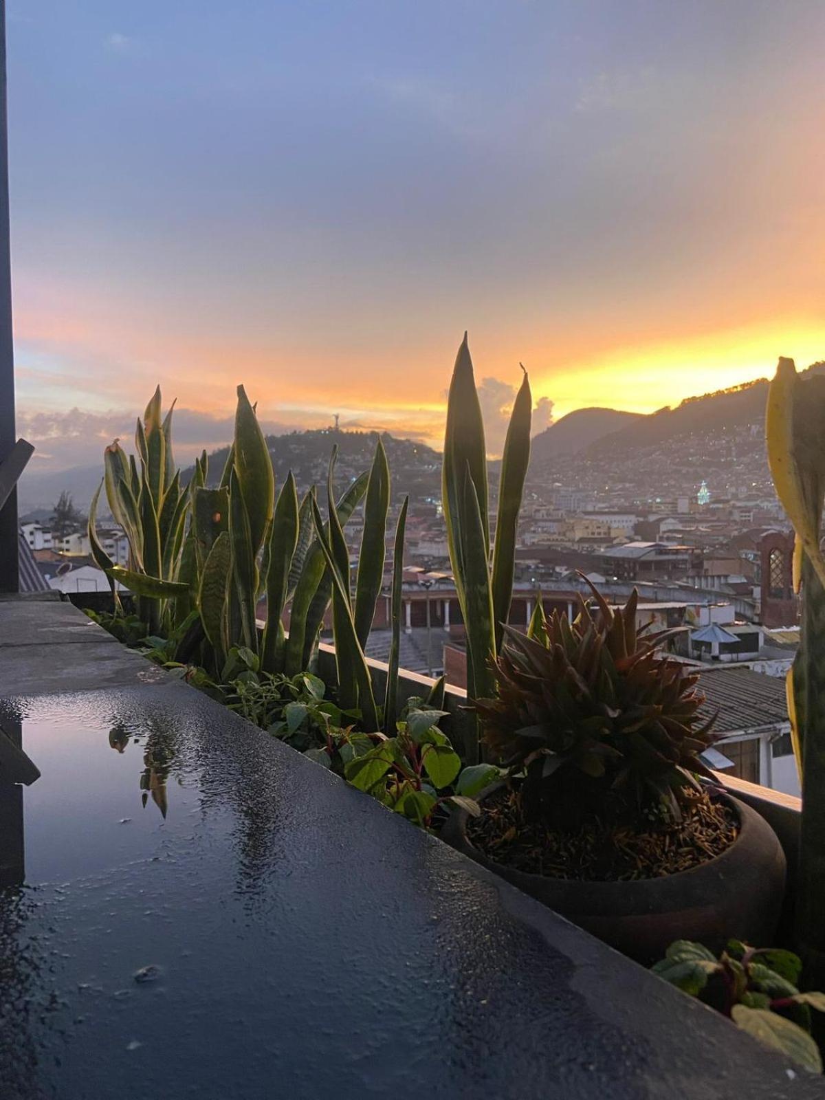 Hostal La Guayunga Rooftop Кіто Екстер'єр фото